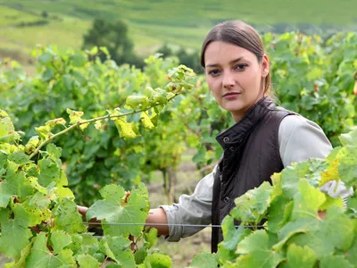 Tânără femeie care îngrijește vița de vie - Foto: Profimedia Images (Imagine cu rol ilustrativ)
