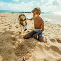 Neglijat de mama drogată, un copil a început să comunice cu câinii - Foto: Pexels (cu rol ilustrativ)