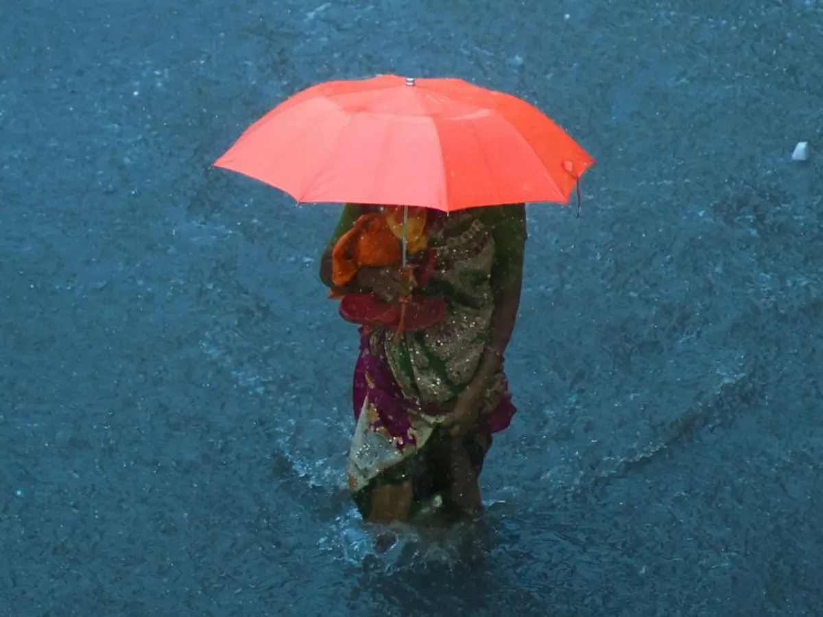 Femeie cu umbrelă mergând prin ploaia torenţială - Foto: Pexels/Aamir Dunkanwala