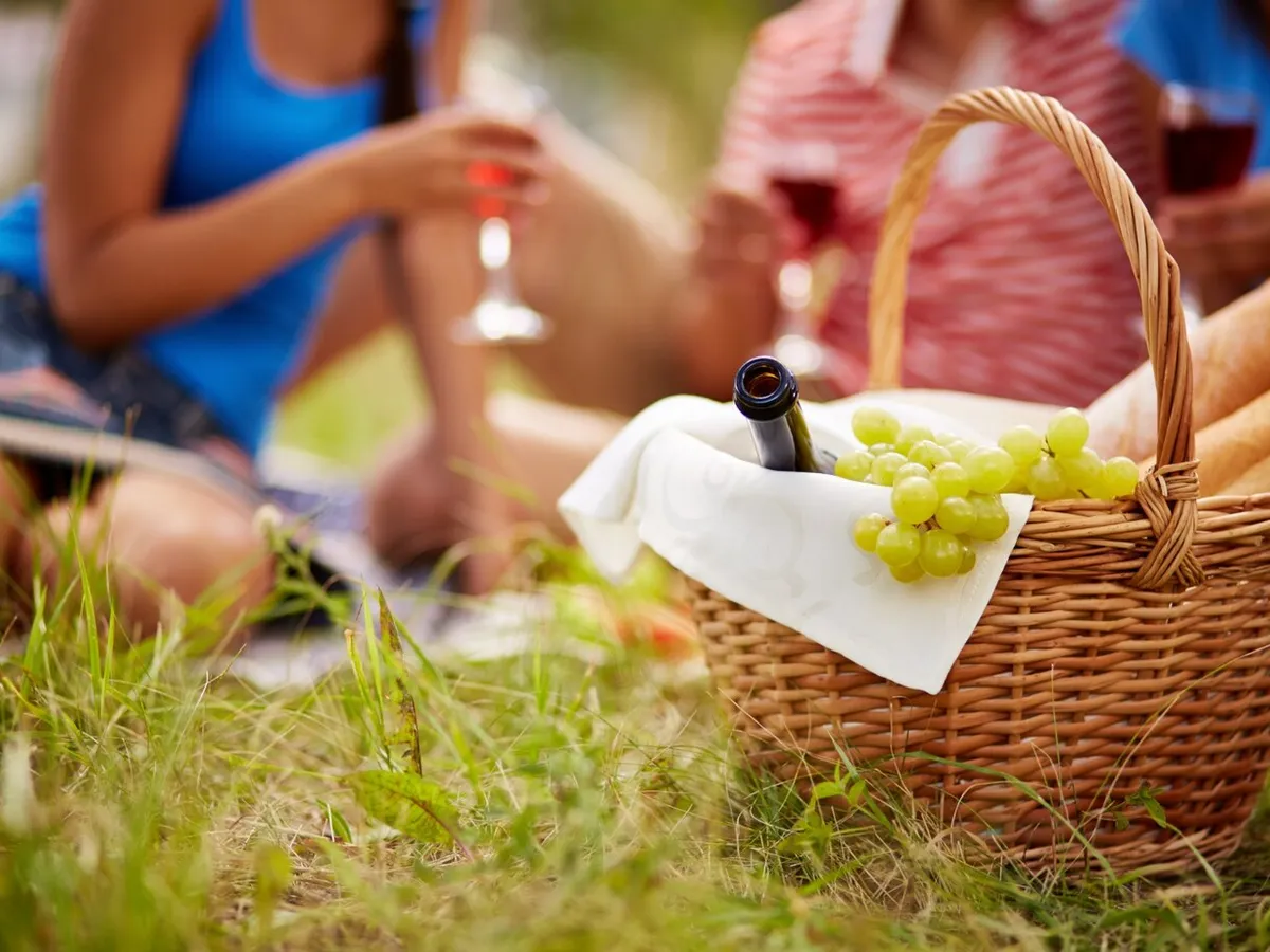 Mare atenție când ieșiți în parc sau la picnic. O insectă periculoasă răspândește boli fatale - Foto: Freepik (rol ilustrativ)