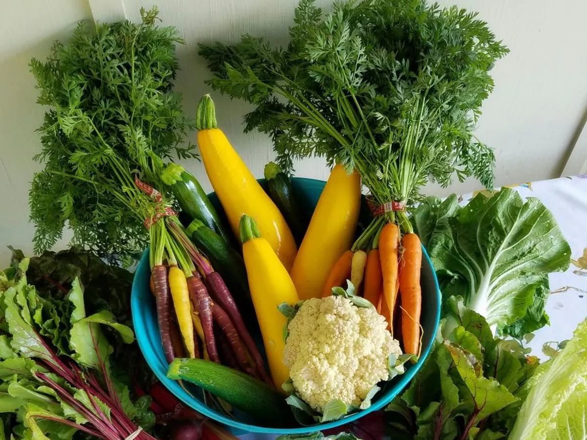 Vegetale asortate - Foto: Pexels/Solare Flares