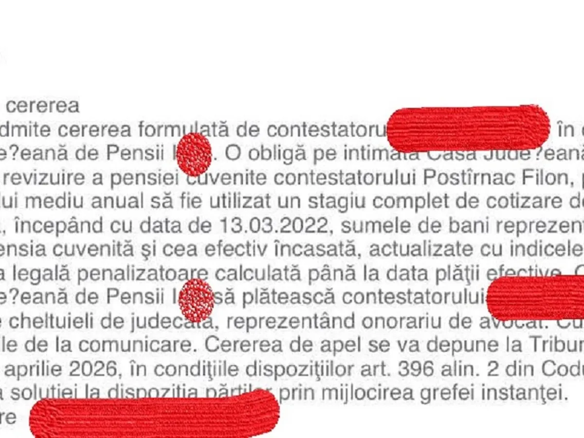 Decizia pensionare - Foto: Instanțe