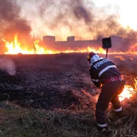 Incendiu de vegetaţie în Popeşti-Leordeni, aproape de Centura Capitalei/FOTO: Facebook/ISUBIF