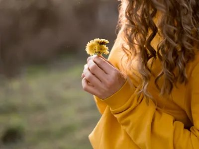 Cum să folosești ceaiul de păpădie pentru păr? Ce trebuie să fierbi - florile, petalele sau tulpina? - Foto: Freepik (Imagine cu rol ilustrativ)