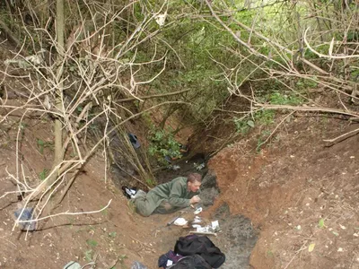 Descoperire în Transilvania - Foto: Elte