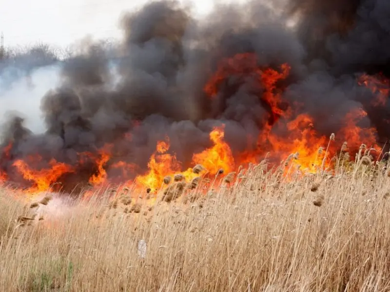 Incendiu puternic. Trafic feroviar afectat în Dobrogea, dincolo de Medgidia. Trenurile sunt oprite - Foto: gds.ro (imagine cu caracter ilustrativ)