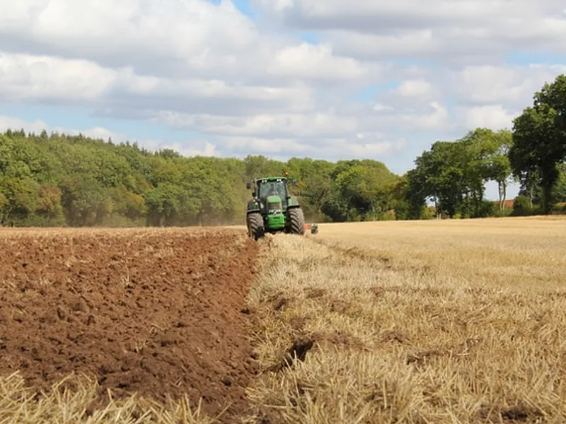 Ministerul Agriculturii anunţă că peste un miliard de euro au fost rambursaţi de CE pentru fermieri/FOTO: Unsplash