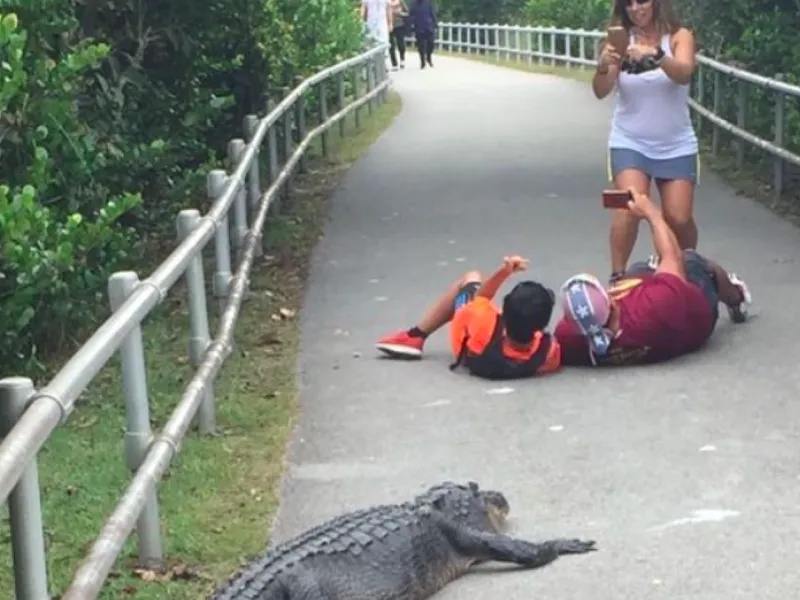 Tată și fiu, la un pas să fie uciși de un aligator. S-au întins pe jos să facă un selfie cu bestia - FOTO: Instagram/ touronsofyellowstone