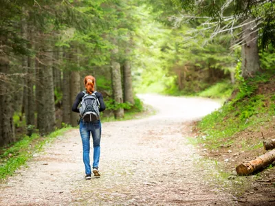 Ce înseamnă dacă vezi o pungă de plastic legată de un copac în pădure? Este un avertisment - Foto: Freepik (Imagine cu rol ilustrativ)