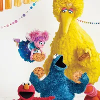De la debutul său în 1969, zeci de milioane de copii au crescut și au învățat cu marionetele din Sesame Street - au dansat cu Elmo, și-au „plescăit” scrisorile cu Cookie Monster, au pus întrebări cu Big Bird și și-au exersat imaginația cu Abby
