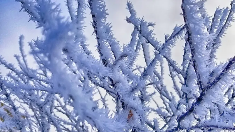 Iarna își intră în drepturi. Meteorologii au anunțat Cod galben de vijelii și ninsori în țară Foto: Pexels (fotografie cu caracter ilsutrativ)