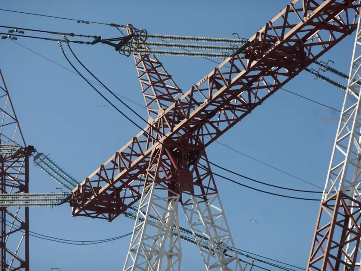 Rețea electrică - FOTO Inquam Photos / George Călin