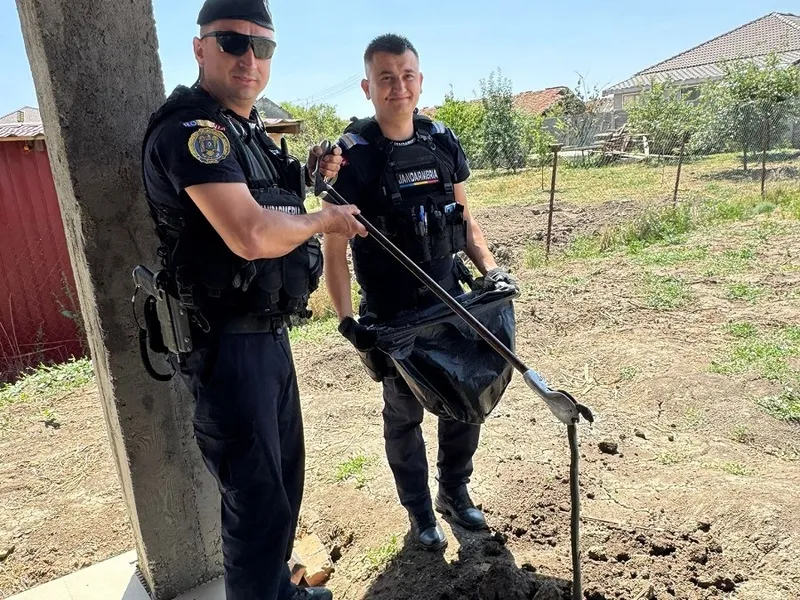 Jandarmii, chemați pentru prinderea unui șarpe