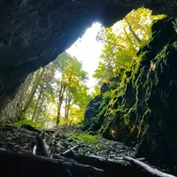 România a pierdut o comoară. Focul Viu din Padiș, Munții Apuseni, s-a stins. Ce s-a întâmplat - Foto: captură video