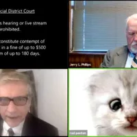 Un avocat din Texas a participat la o şedinţă de judecată online folosind accidental un filtru care îl transforma în pisică/FOTO: Twitter