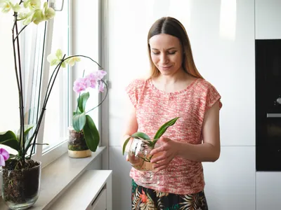 Motivul pentru care trebuie să udați plantele de apartament mai puțin iarna. Trebuie să le schimbați și locul? - Foto: Freepik (Imagine cu rol ilustrativ)