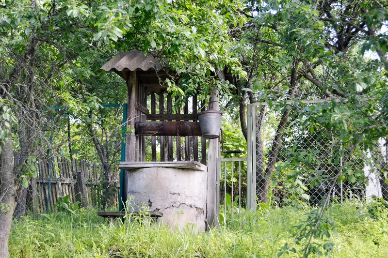 F&acirc;nt&acirc;nă &icirc;n curte la țară - Foto: Magnific.com (Imagine cu rol ilustrativ)