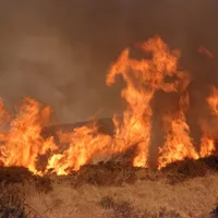 Incendiu violent de vegetație în Glina. Ard peste 12.000 de metri pătraţi de vegetație  - Foto: Arhivă / imagine cu caracter ilustrativ