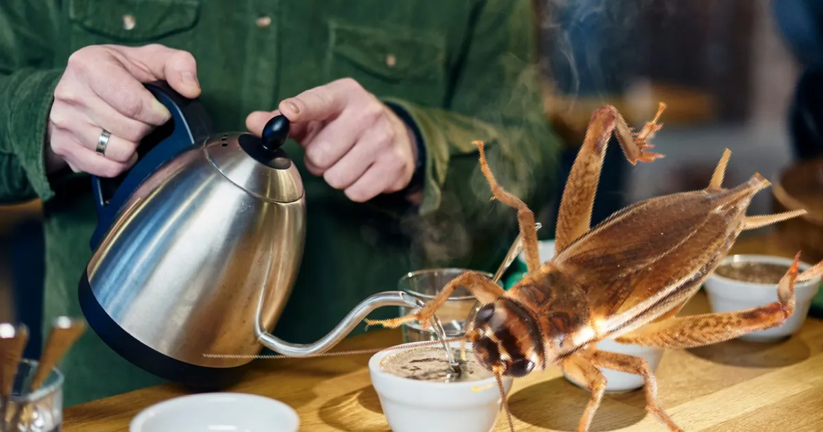 FOTO A apărut cafeaua cu insecte. Greierii întregi deshidratați, în ...