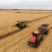 Previziuni sumbre pentru anul acesta: fermierii ar putea obţine, în medie, puţin peste 4 tone de grâu la hectar- Foto: Pixabay