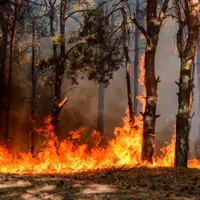 „Fantoma de foc”. Arma misterioasă cu care Ucrainia pur și simplu „rade” tranșeele rușilor - Foto: captură youtube (imagine cu caracter ilustrativ)