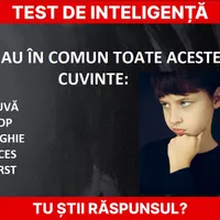 Test de inteligență Foto: Newsweek