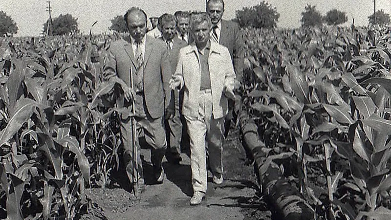În Agricultură, i se raportau lui Ceaușescu producții total mincinoase