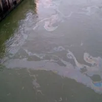 Poluare masivă pe Dunăre. O pată de uleiuri lungă de 12 km a fost descoperită în Caraș Severin Foto: captură video infocs