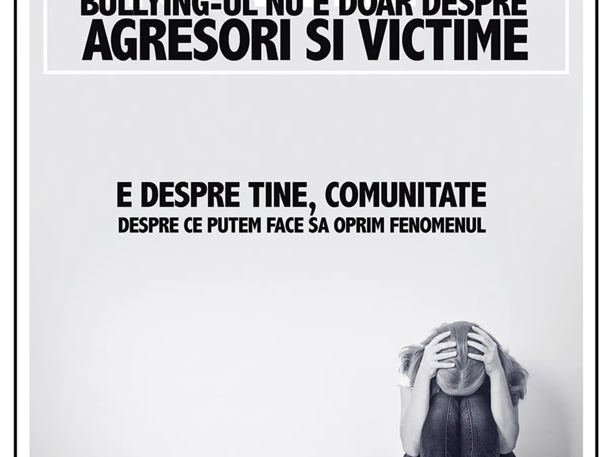 Mara Mare a coordonat un studiu privind bullying-ul în județul Bistrița și a realizat mai multe afișe de conștientizare a violenței. Afiș Consiliul Național al Elevilor Bistrița-Năsăud