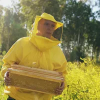 10.000 de lei ajutor pentru apicultorii români. În ce condiiții se dau banii? Foto: Pexels (fotografie cu caracter ilustrativ)
