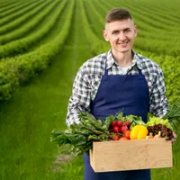 50.000 de euro ajutor de la stat pentru românii care cultivă legume. Cum pot beneficia fermierii - Foto: Freepik (Imagine cu rol ilustrativ)