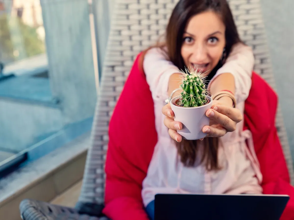 Cactus - Foto: Freepik (Imagine cu rol ilustrativ)