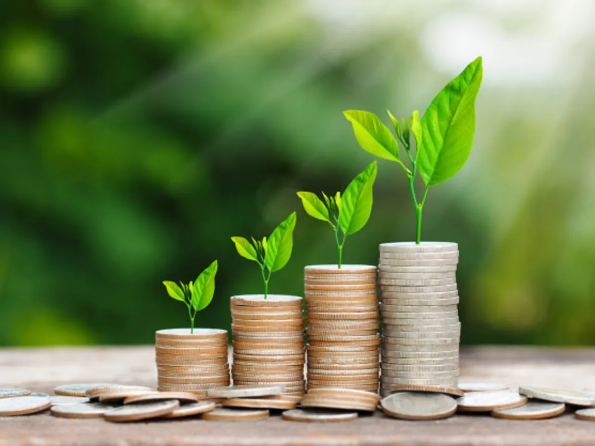 Ministerul Finanţelor: „Ultimul pas pentru a lansa obligaţiuni verzi, îndeplinit” - Foto: Profimedia Images/ Imagine cu caracter ilustrativ