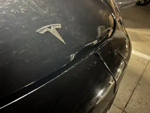 VIDEO O Tesla pe pilot automat a ucis o căprioară. Ciudăţenie la programarea service-ului maşinii - Foto: X/Paul S