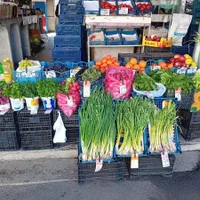 Fermierii au preferat să își arunce recolta la gunoi decât să le-o dea samsarilor pe 20 de bani Foto: Replica online(fotografie cu caracter iliustrativ)