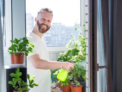 Motivul pentru care trebuie să plantezi în ghiveci o legumă pe care o pui în ciorbă. Rezistă și pe balcon - Foto: Freepik (Imagine cu rol ilustrativ)