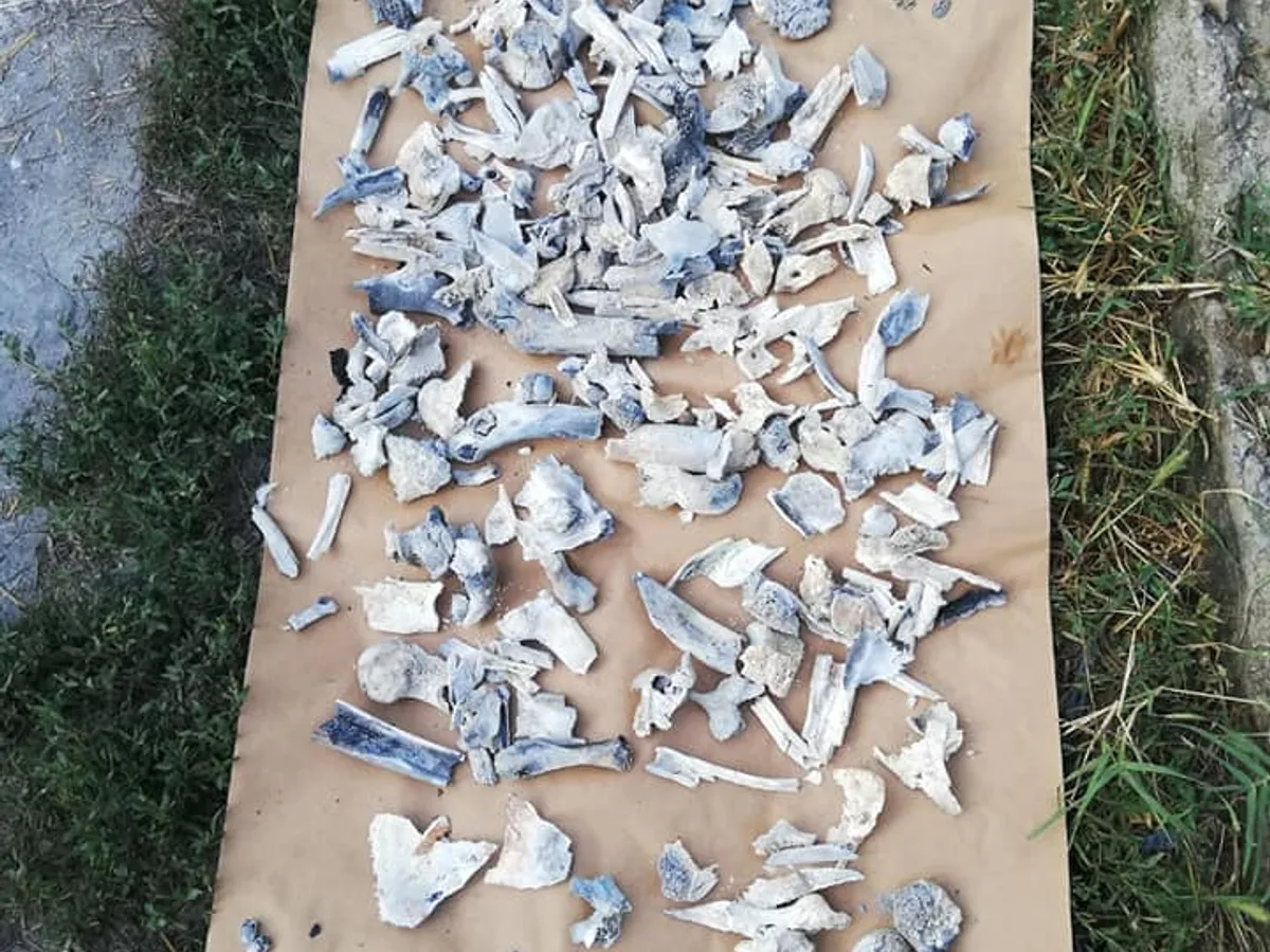 Fragmente de oase găsite de oamenii legii în curtea suspectului. Sursa foto: Realitatea Oltului