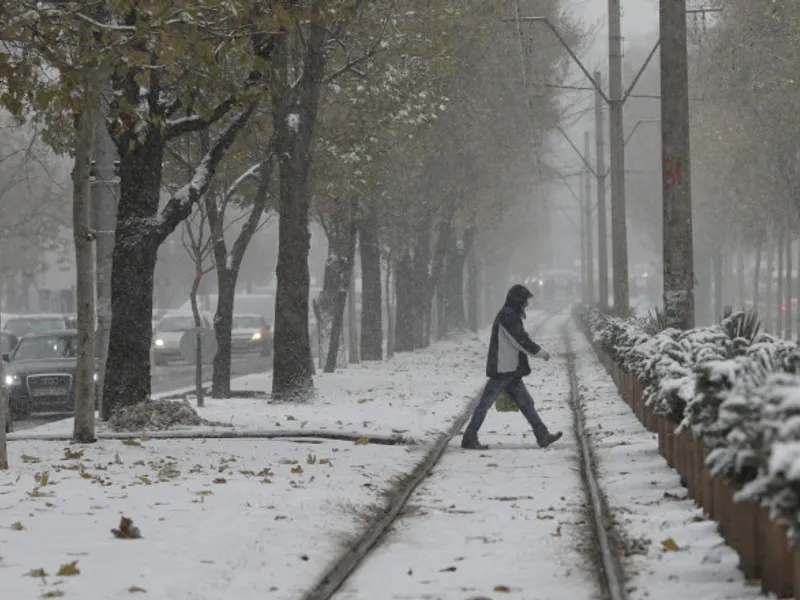 Ninge în București/FOTO: Inquam Photos/Octav Ganea