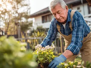 Pensionar îngrijește grădina la pensie - Foto: Freepik