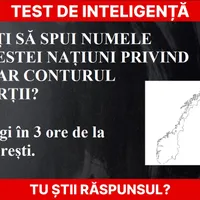 Test de inteligență Foto: Newsweek