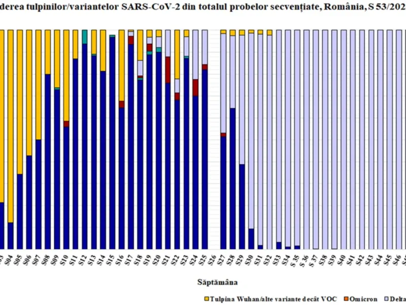 Evoluție tulpini mutante COVID în România. Sursă: INSP