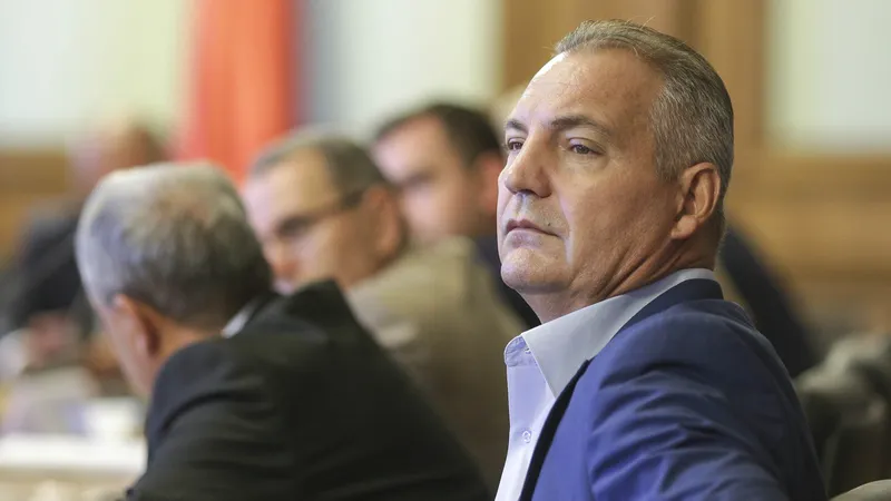 PSD schimbă legea finanțării partidelor politice. Foto Inquam Photos/Octav Ganea