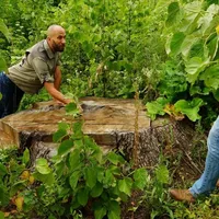 Un europarlamentar atenționează: „România riscă o amendă de 100.000 de euro pe zi”. Care e motivul/FOTO: ziaruldeiasi.ro