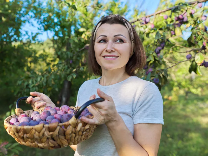 Fructul din copac, zemos și plin de vitamine. Slăbește și curăță colonul din câteva guri  - Foto: Freepik