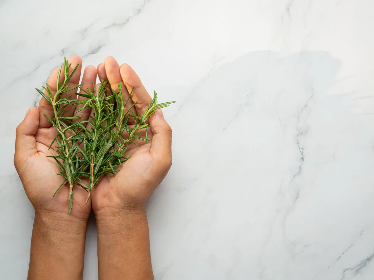 Rozmarin - Foto: Freepik (Imagine cu rol ilustrativ)