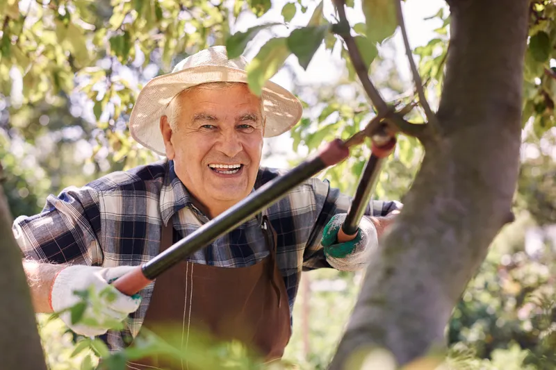 Bărbat senior care lucrează &icirc;n grădină - Foto: Magnific.com (Imagine cu rol ilustrativ)