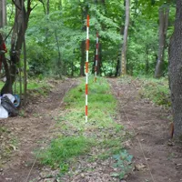 Un cimitir dacic și artefacte din fier, bronz şi argint , descoperite pe Măgura Şimleului - Foto: Muzeul Judeţean de Istorie şi Artă - Zalău