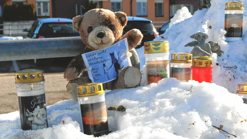 Româncă din Austria a provocat un accident rutier intenționat, ucigând soția și copilul amantului ei/FOTO: krone.at