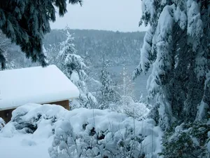 Avertizare meteo cod galben și portocaliu de viscol și ninsori până duminică. Zonele afectate - Foto: Profimedia images