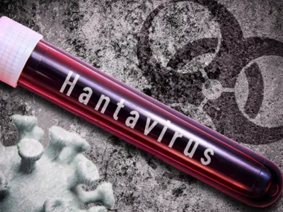 Motivul morbid pentru care hantavirusul care s-a răspândit pe un vas de croazieră este puțin probabil să declanșeze o nouă pandemie